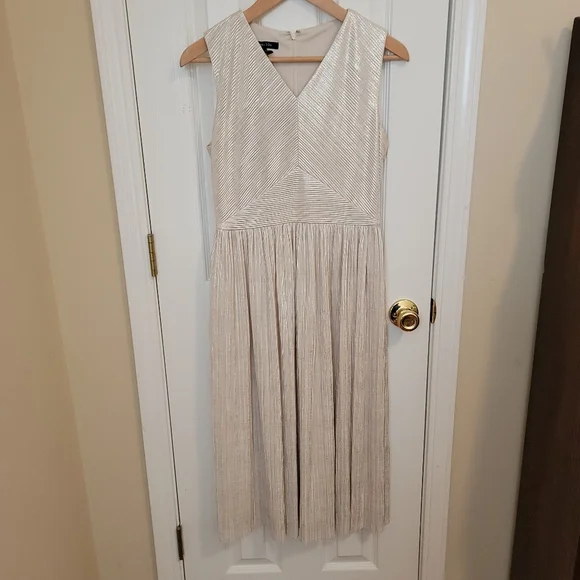 Ivy & Blu Ivory and Silver Metallic V Neck Dress Size 4 - Picture 1 of 5